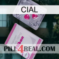 Cial 32